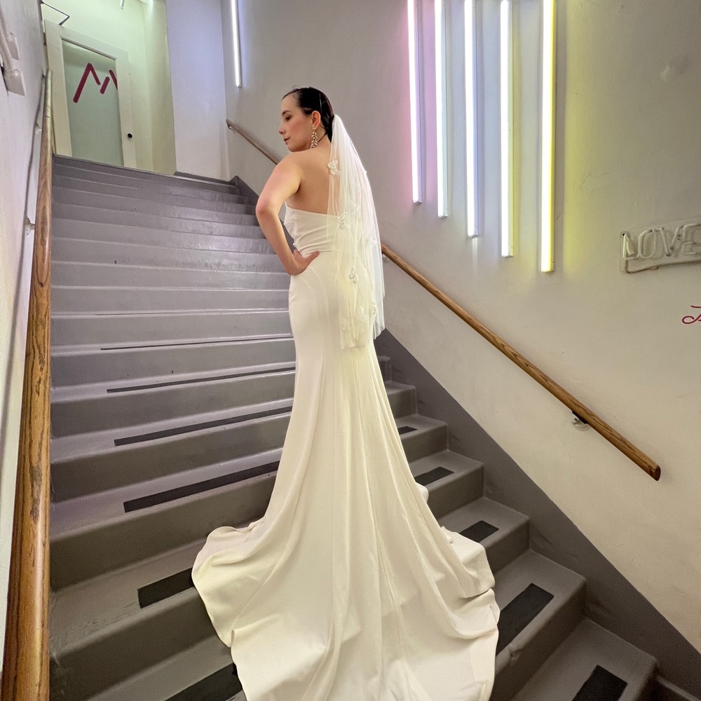 Pronovias White Strapless Wedding Dress - Picture 6 of 6